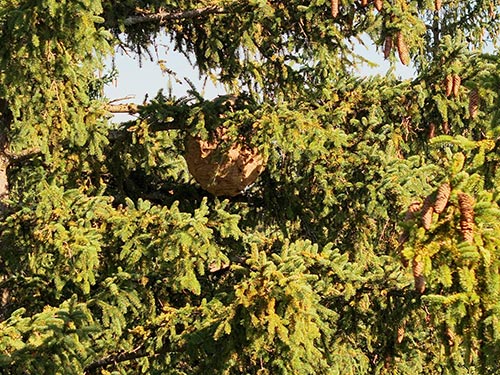 Vogelperspektive Beispiel